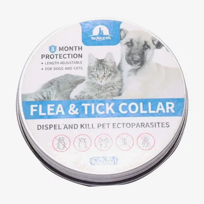 Dyeof flea outlet collar