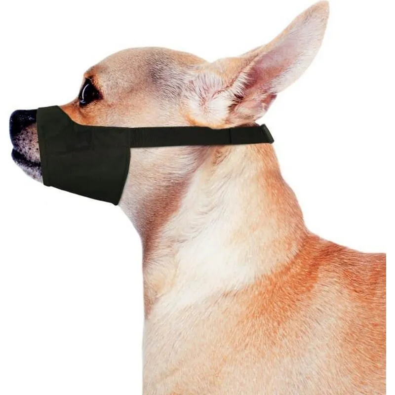 Dog muzzle store price